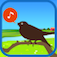 Chirp! Bird Song USA +